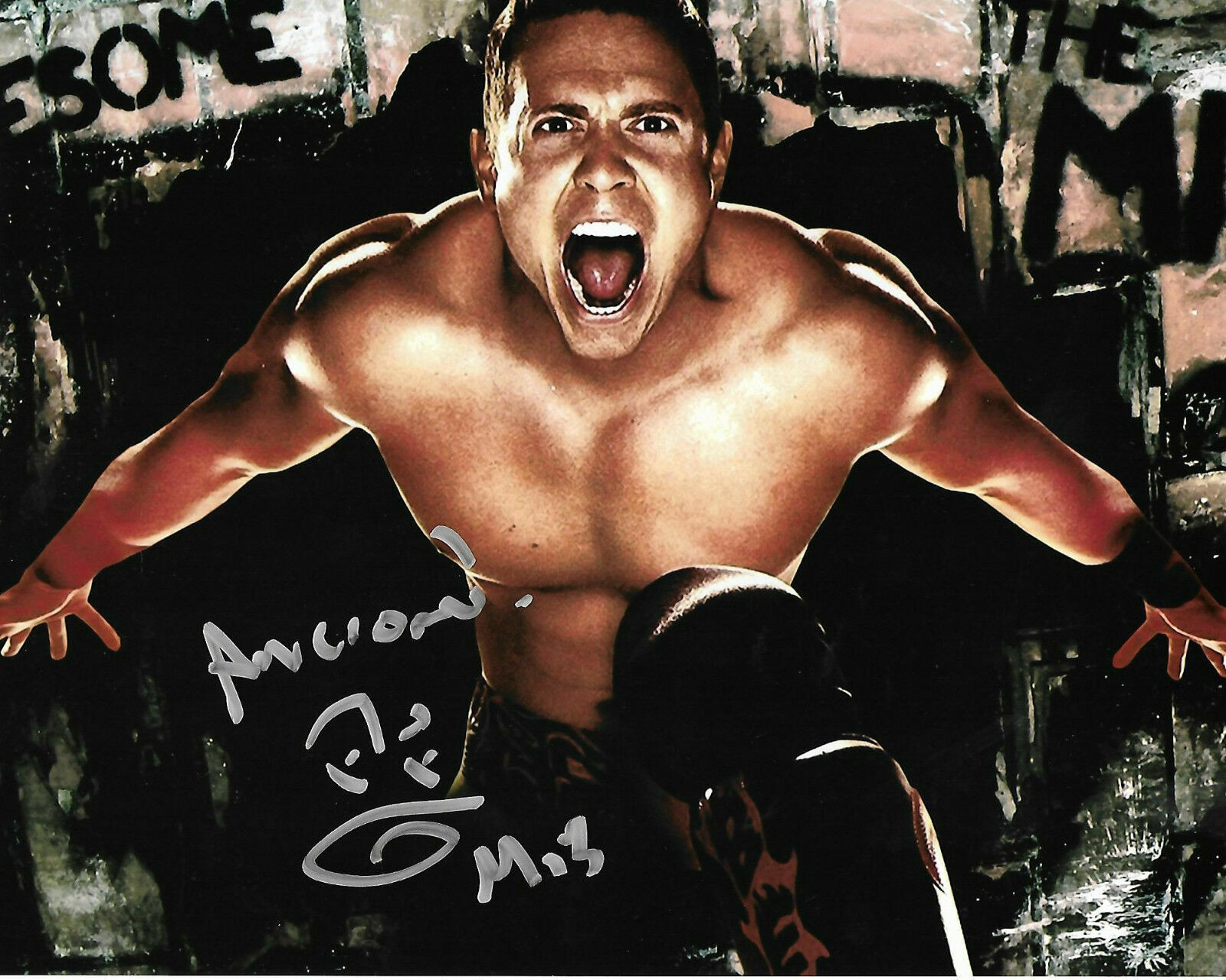 The Miz ( WWF WWE ) Autographed Signed 8x10 Photo Poster painting REPRINT