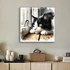 Cat-Paint by Numbers Cat 40*40CM
