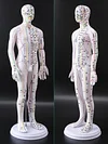 Acupuncture Point Human Body Model Meridian Acupoint Model