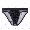 Men's Sexy Low Rise Mesh Bikini Briefs
