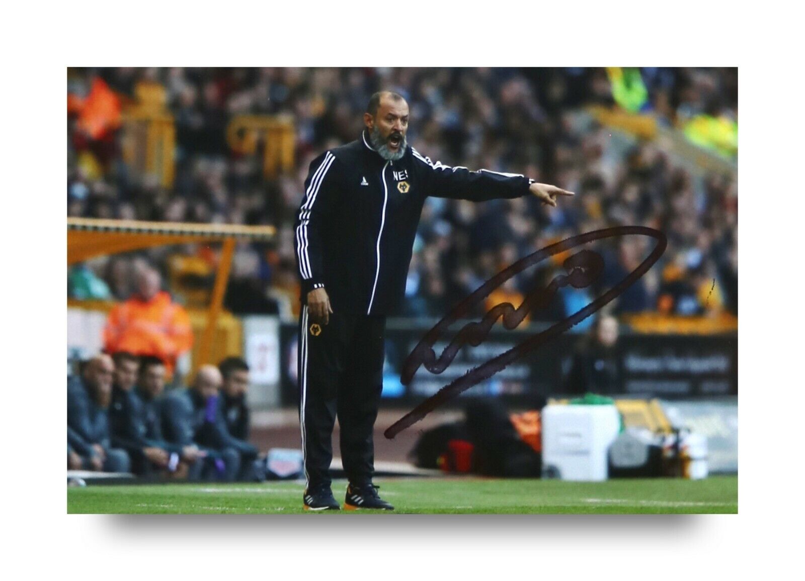 Nuno Santo Signed 6x4 Photo Poster painting Wolverhampton Wanderers Goalkeeper Autograph + COA