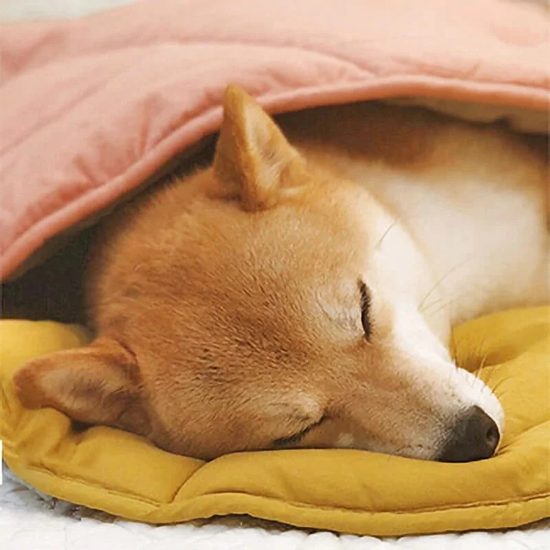 Cute Leaf Shape Dog Blanket, Washable Dog Mat