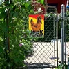 Chicken - Metal Tin Signs(8*12Inch/12*16Inch) - Animal