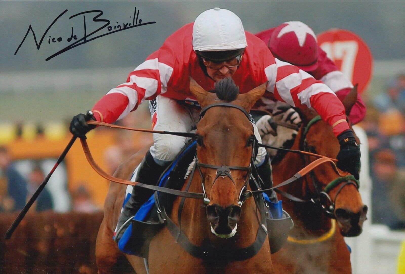 NICO DE BOINVILLE HAND SIGNED 12X8 Photo Poster painting CONEYGREE HORSE RACING AUTOGRAPH 3