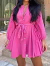 Solid Color Long Sleeves Mini Dress