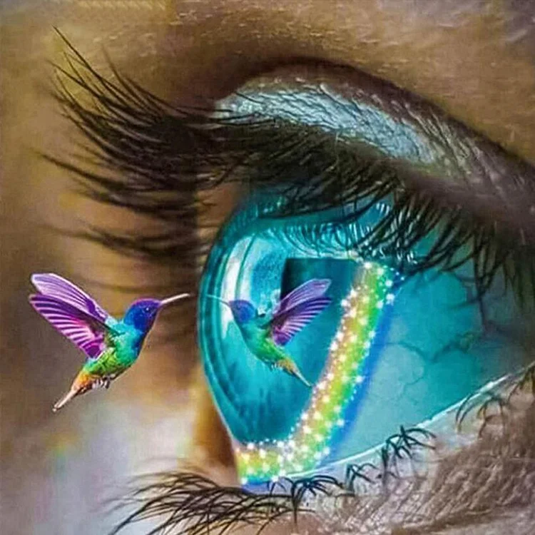 【HUGE 62% OFF SALE】Paint By Numbers Kit DIY Bird Eye Oil Art Picture Craft Home Wall Decoration