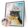 Painting By Numbers - DIY Cat(40*50cm)