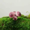 Styrofoam simulated mushroom ornaments outdoor decoration park landscape villa courtyard garden landscaping