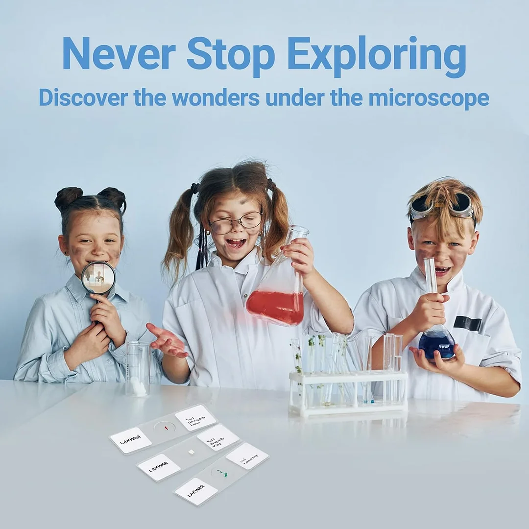 25 Insect Microscope Slides with Specimens for Kids Adults, Prepared Insect Microscope Slides Kit