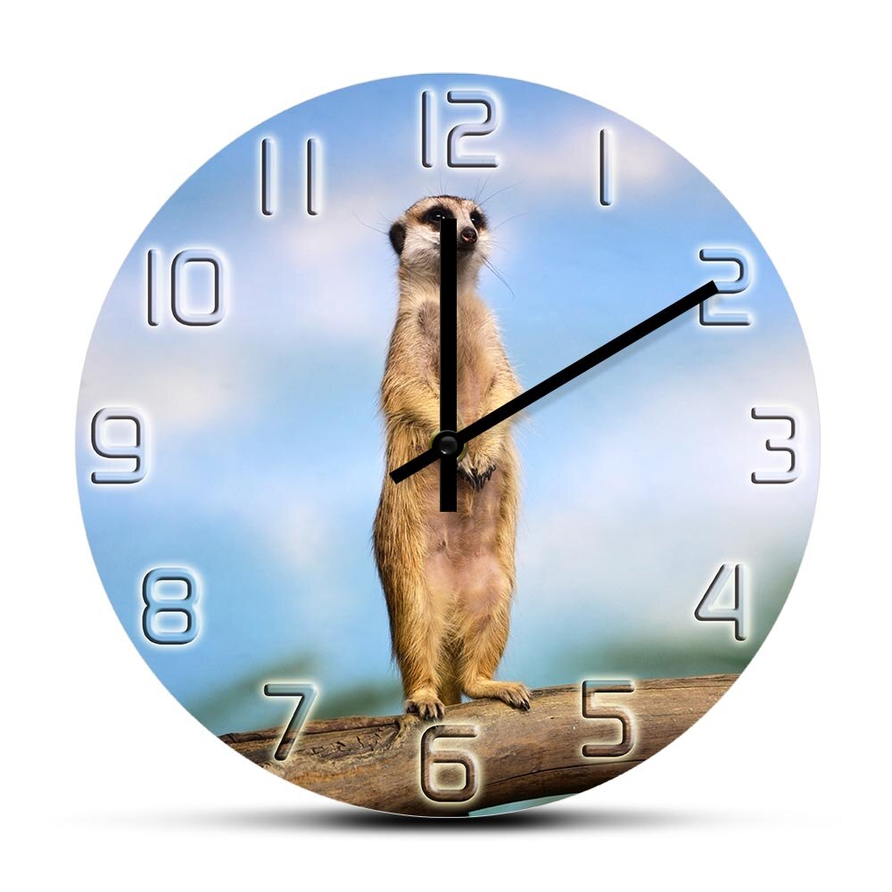 

Meerkat - Frameless Acrylic Wall Clock, 501 Original