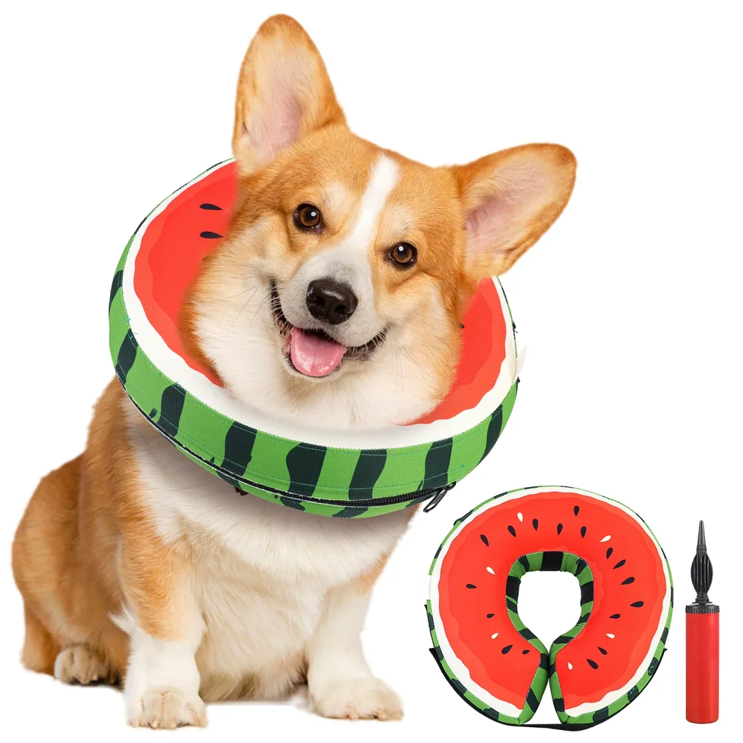 Protective Inflatable Collar for Dogs and Cats - Soft Pet Recovery Collar Doesn't Obstruct View, Medium Size, Watermelon Look