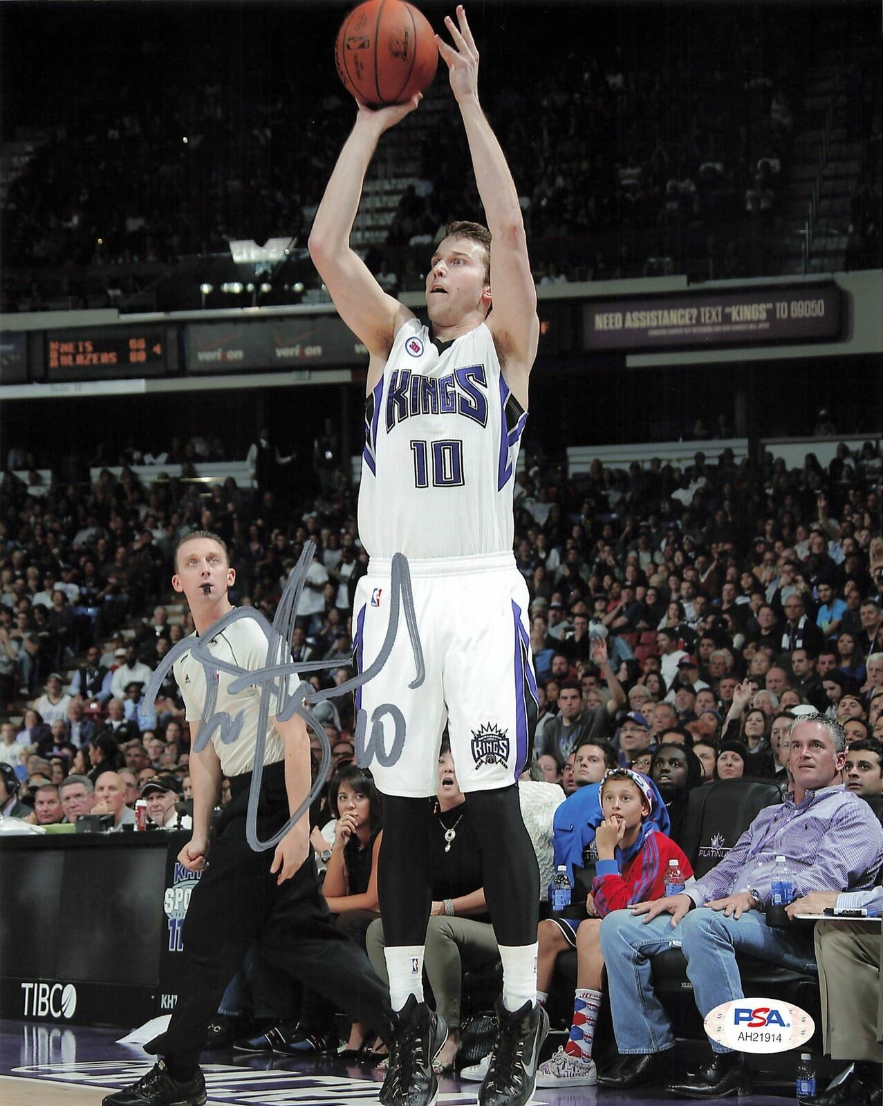 Nik Stauskas signed 8x10 Photo Poster painting PSA/DNA Sacramento Kings Autographed