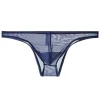 Men's Transparent Ultra-Thin Mesh Low-Waist Sexy Briefs