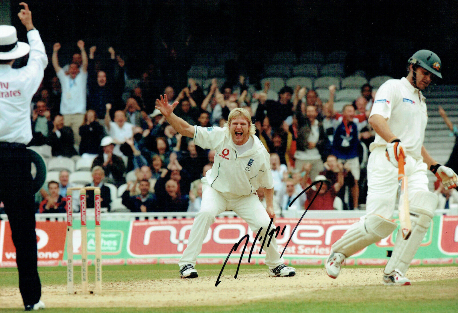 Matthew HOGGARD Signed Autograph 12x8 Photo Poster painting AFTAL COA England Bowler CRICKET