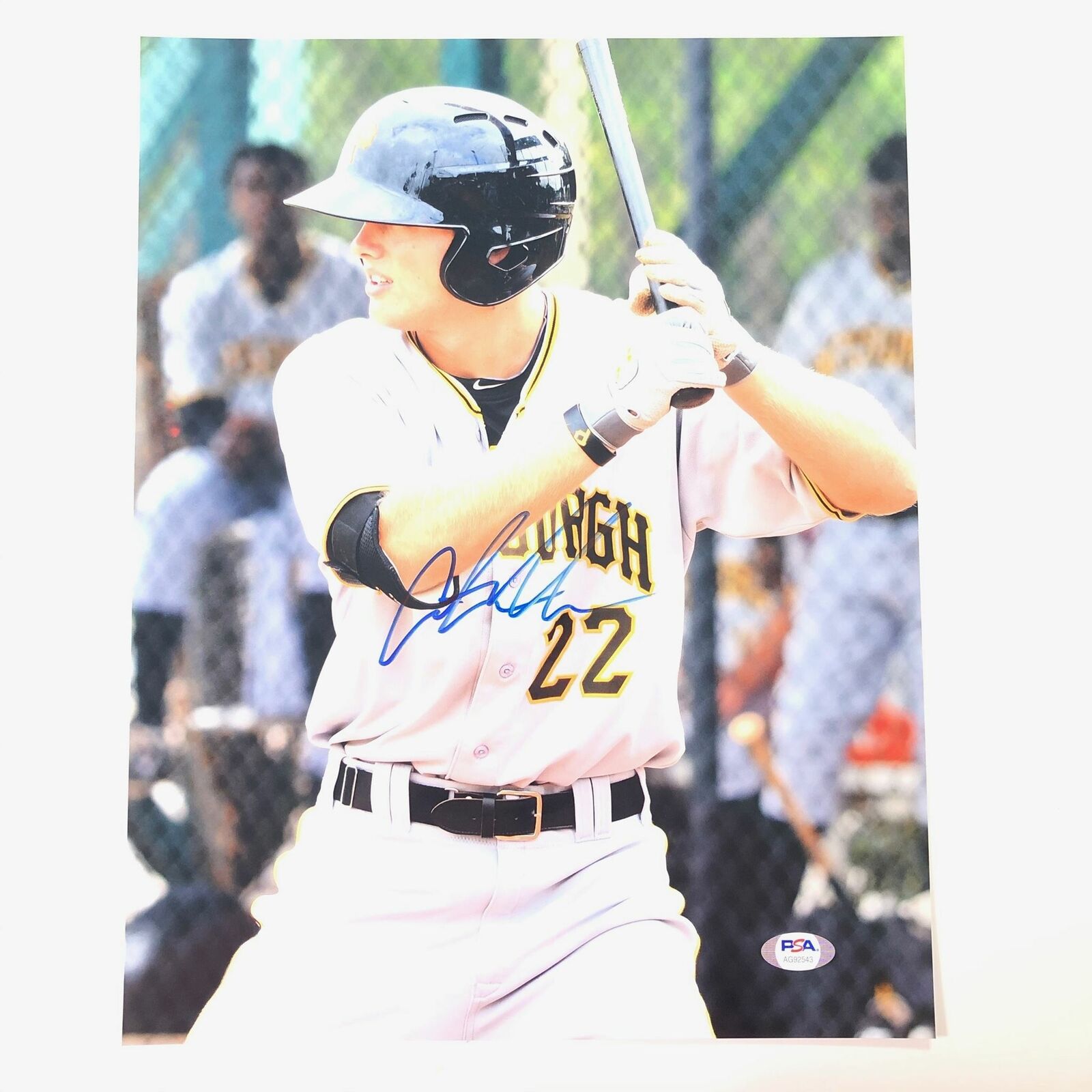 Austin Meadows signed 11x14 Photo Poster painting PSA/DNA Pittsburgh Pirates Autographed