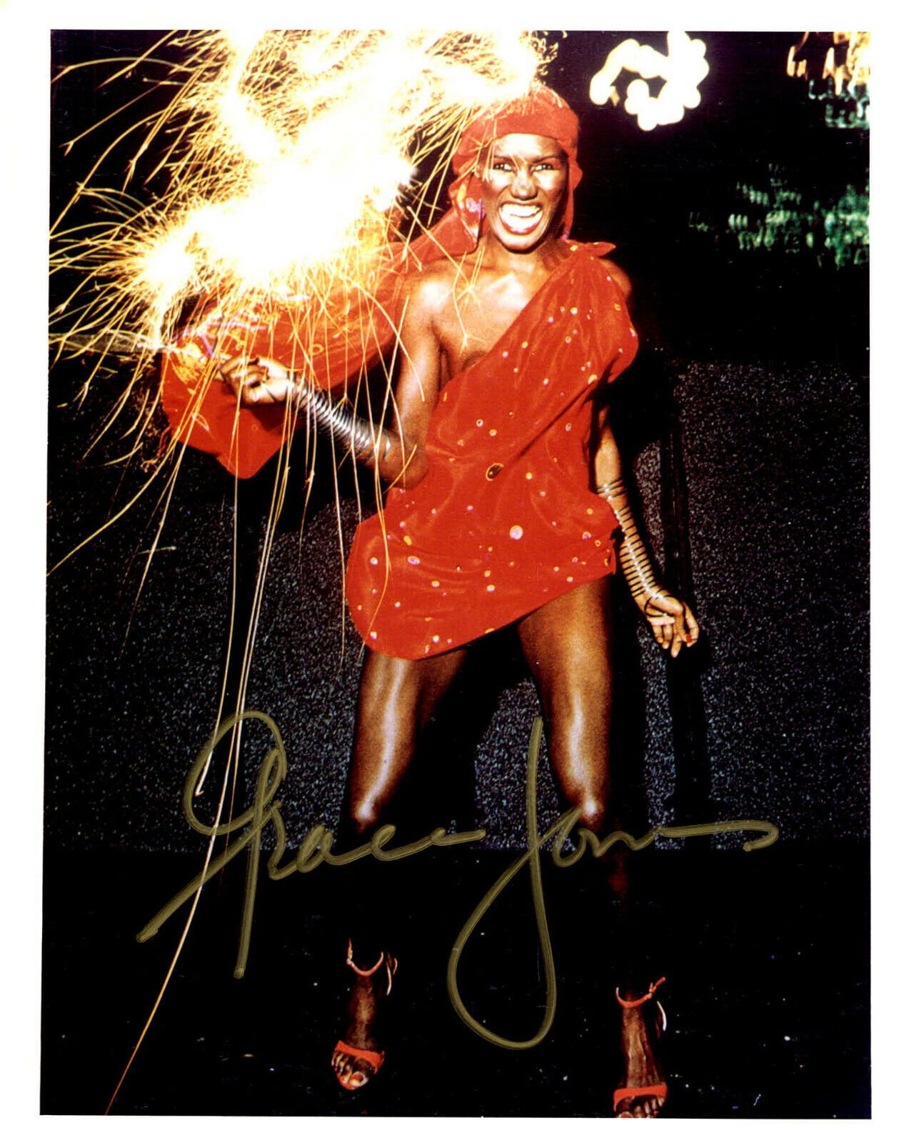 Grace Jones vintage signed 8x10 Photo Poster painting In-person