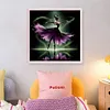 (Stamped/Counted) Ballet Maleficent Silhouette-11CT Cross Stitch 40*40cm