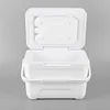 6L Insulated Portable Cooler with Handle Ice Bucket for Outdoor Picnic (White)