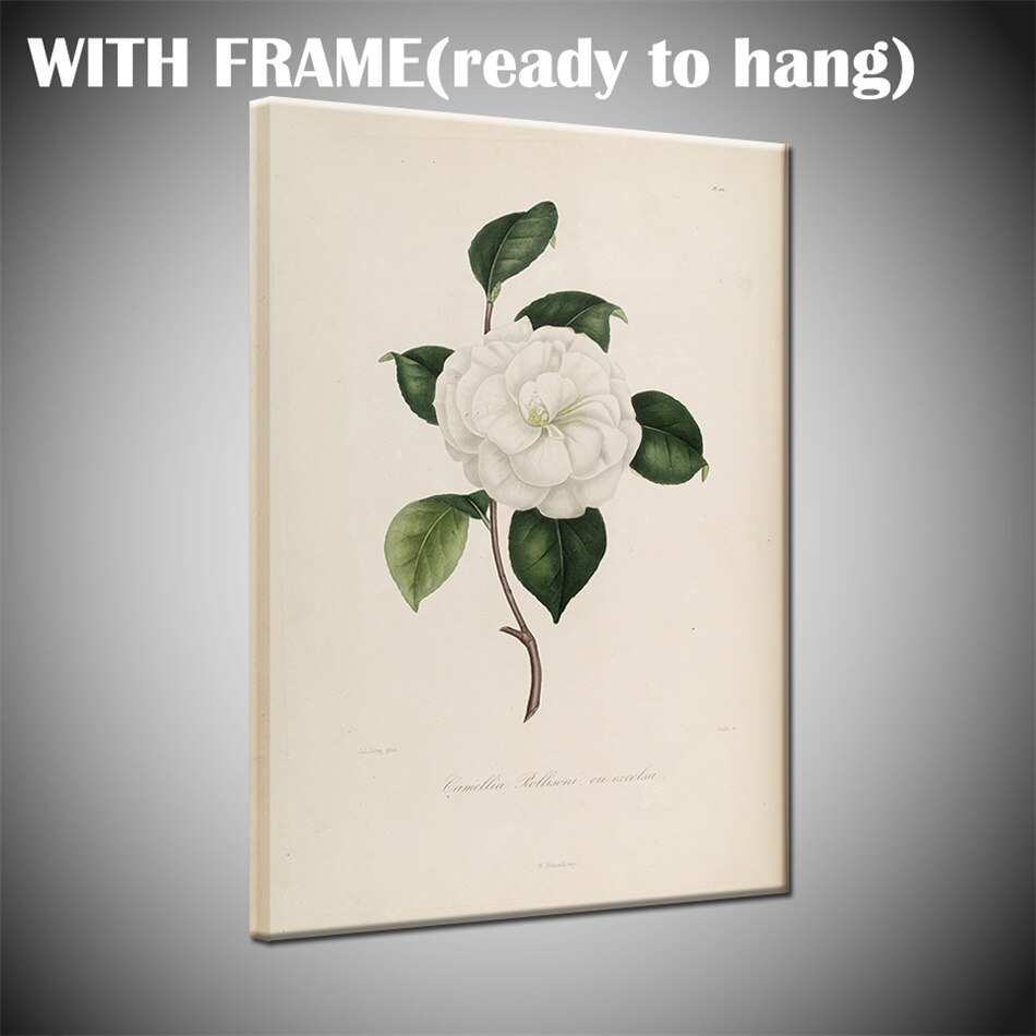 Nordic Simple Camellia Flower 3 Pieces Decorative Painting Modular Picture Wall Art Canvas Painting Living Room Free shipping