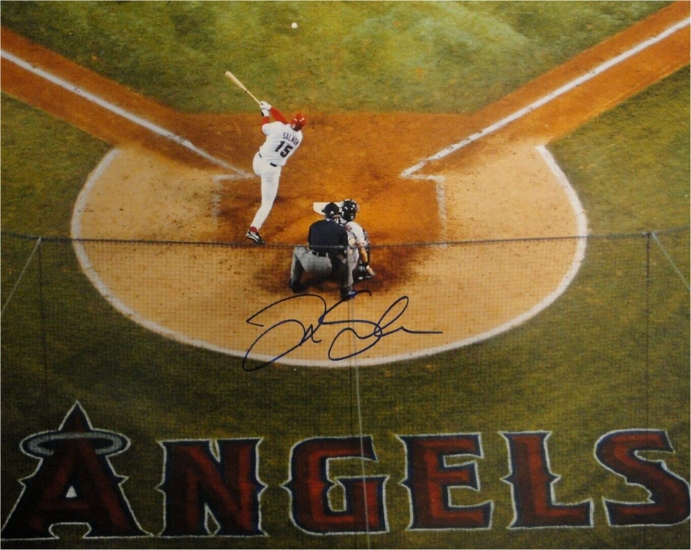 Tim Salmon Hand Signed Autographed 16x20 Photo Poster painting Anaheim Angels At Home Big Swing