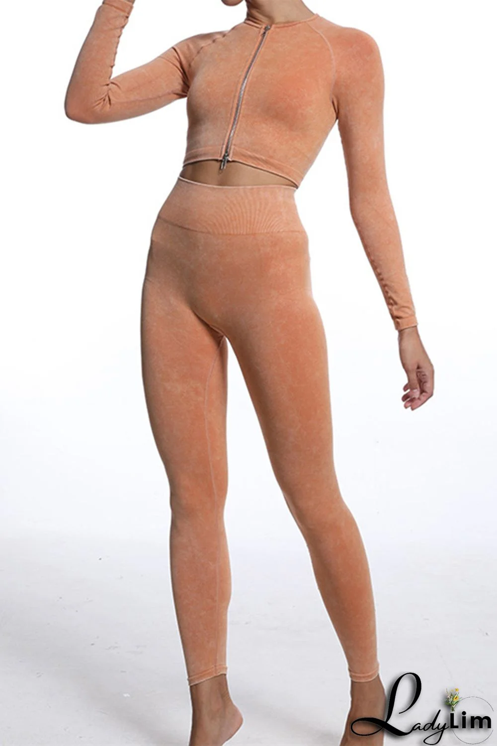 Blue Gray Casual Sportswear Solid Patchwork Zipper Long Sleeve Top And Trousers Two Piece Set