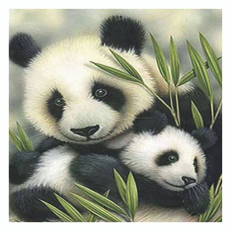 Diamon d peinture - plein rond -panda mignon