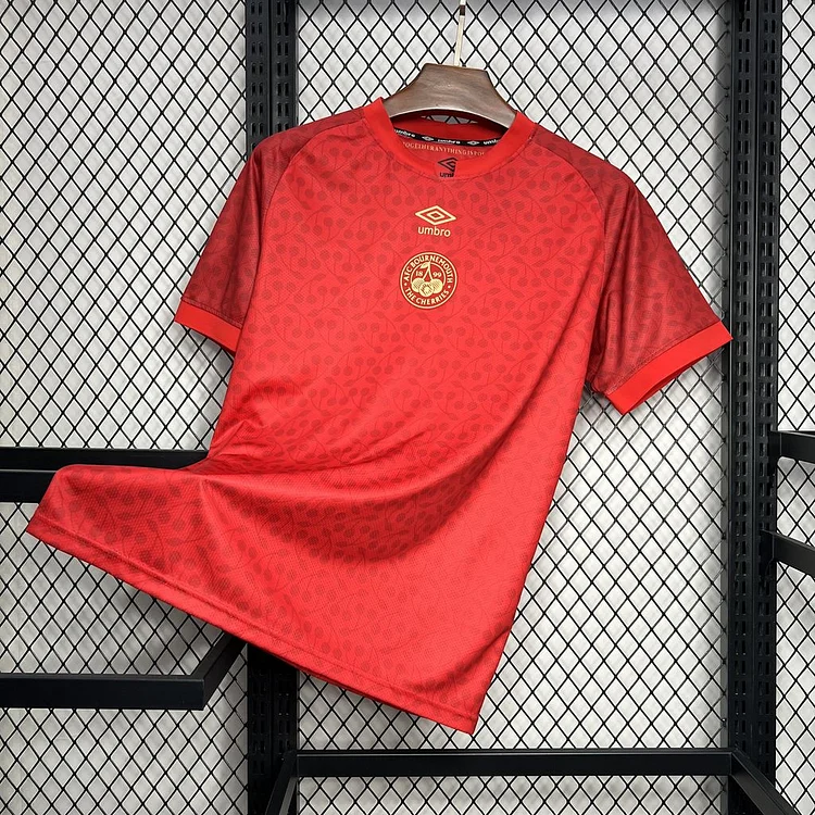 Fans edition 24-25 Bournemouth Pre-Season Home Football Jersey