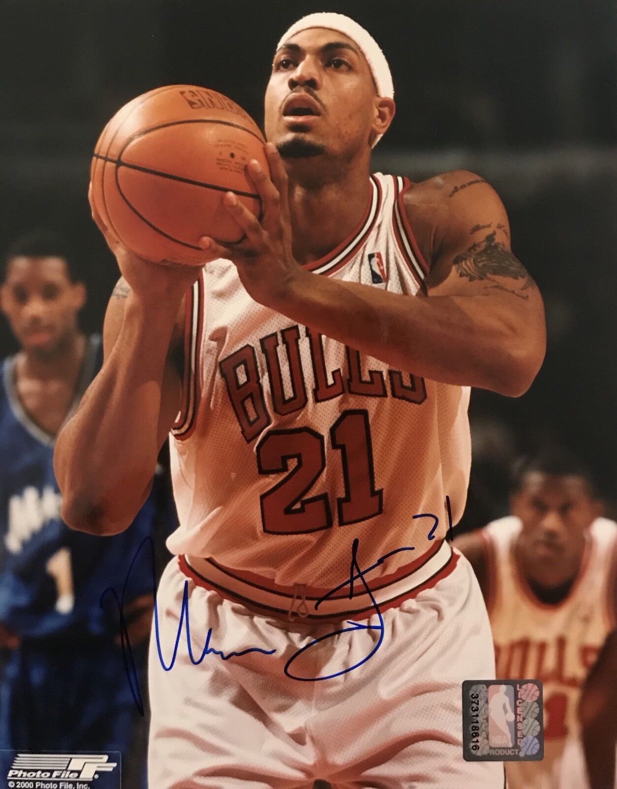 Marcus Fizer Signed Auotgraphed Chicago Bulls 8x10 Photo Poster painting Coa