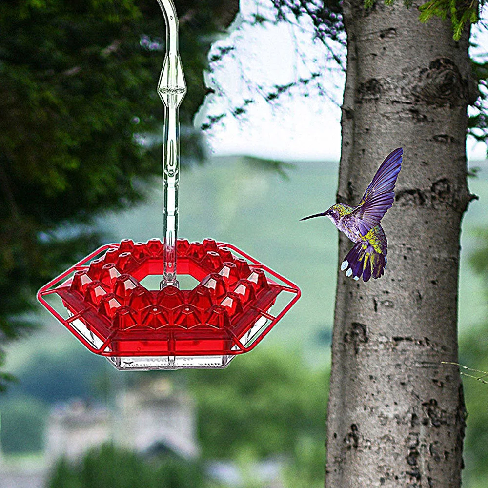 ❤️Mother's Day Sale 49% OFF-ROB'S HUMMINGBIRD FEEDER