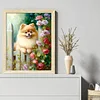 Pomeranian Flowers-11CT Stamped Cross Stitch 40*50cm/15.75*19.69in tapestrymarket
