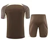 2024/2025 Corinthians pre-match training Brown Shirt+Shorts 1:1 Thai Quality
