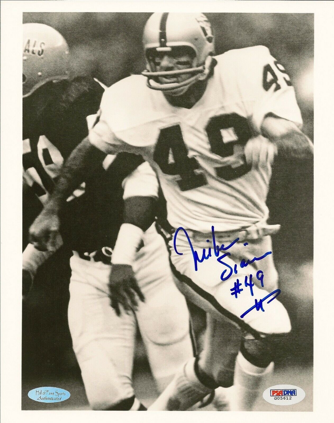 Mike Siani Signed 8x10 Photo Poster painting PSA/DNA COA 1972 Raiders Football Picture Autograph