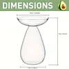 Avocado Seed Starter Vase Transparent Glass Avocado Tree Flower Vase for Balcony