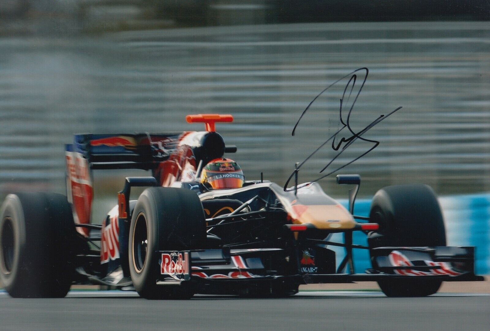 Brendon Hartley Hand Signed 12x8 Photo Poster painting - Formula 1 Autograph Red Bull F1 1.