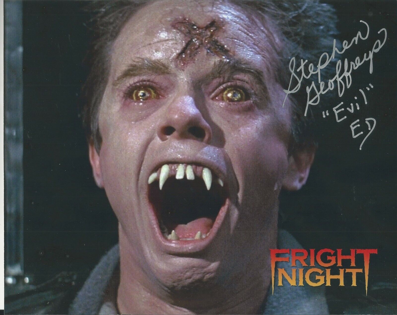 Stephen Geoffreys - Fright Night signed Photo Poster painting