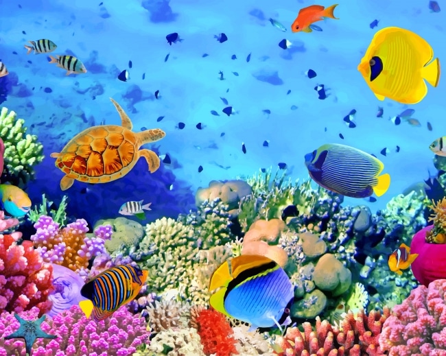 

Under Water Colorful Fish – Paint By Numbers - 40*50CM, 501 Original