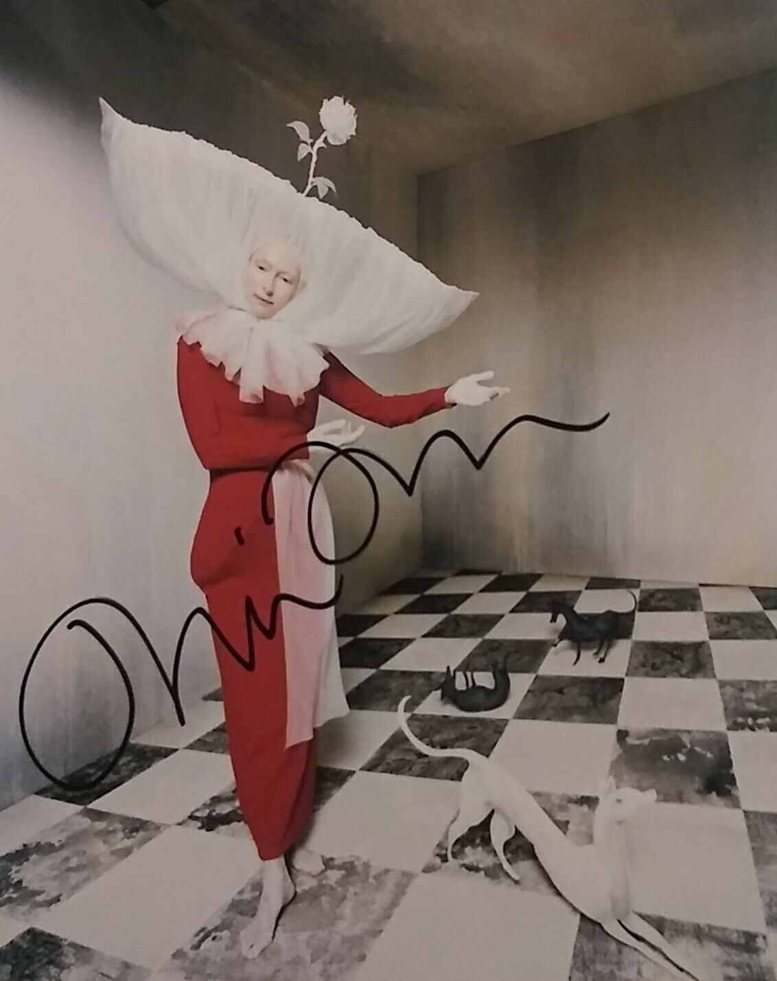 Tilda Swinton signed 8 x 10