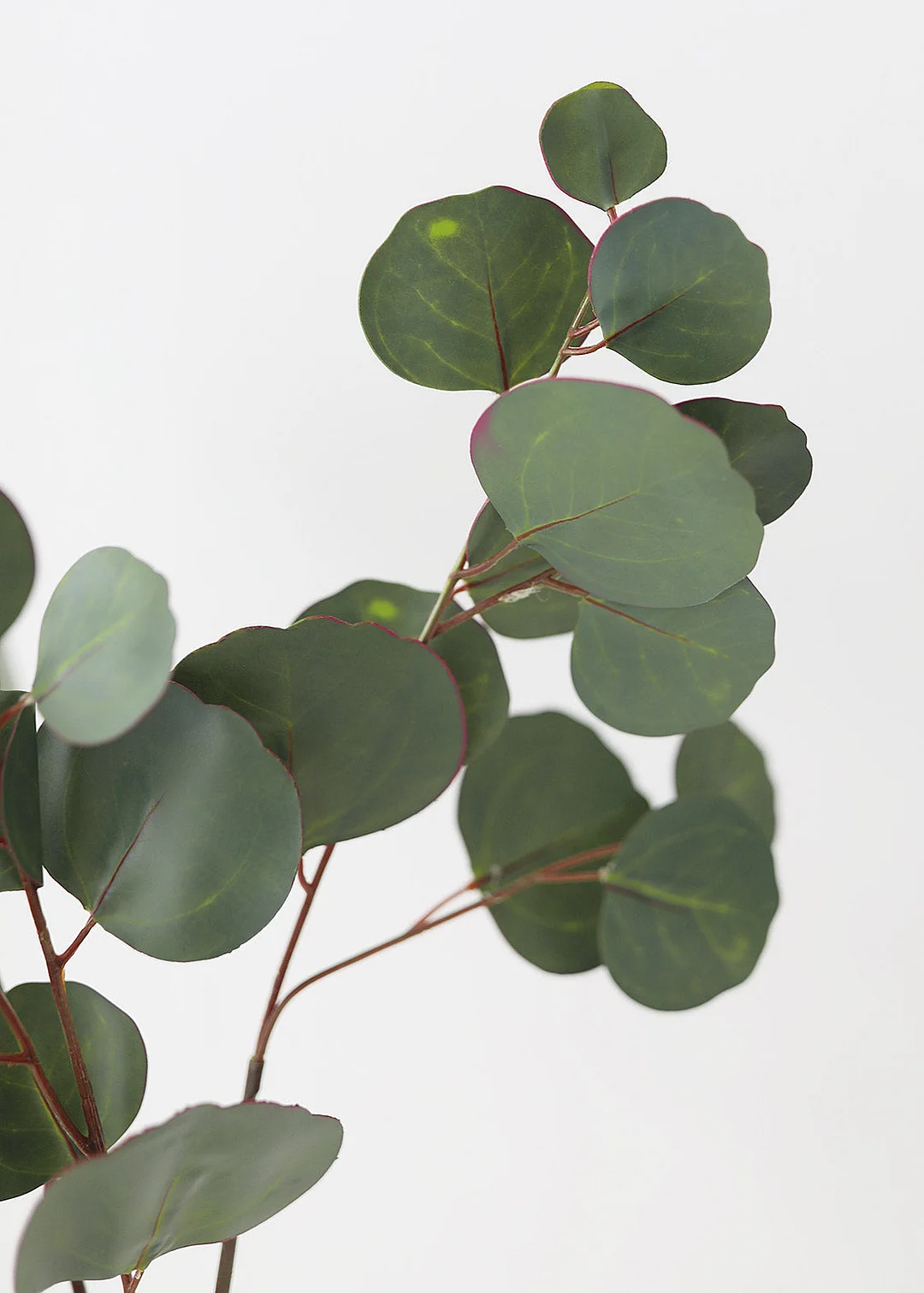 Real Touch Silver Dollar Eucalyptus - 30"