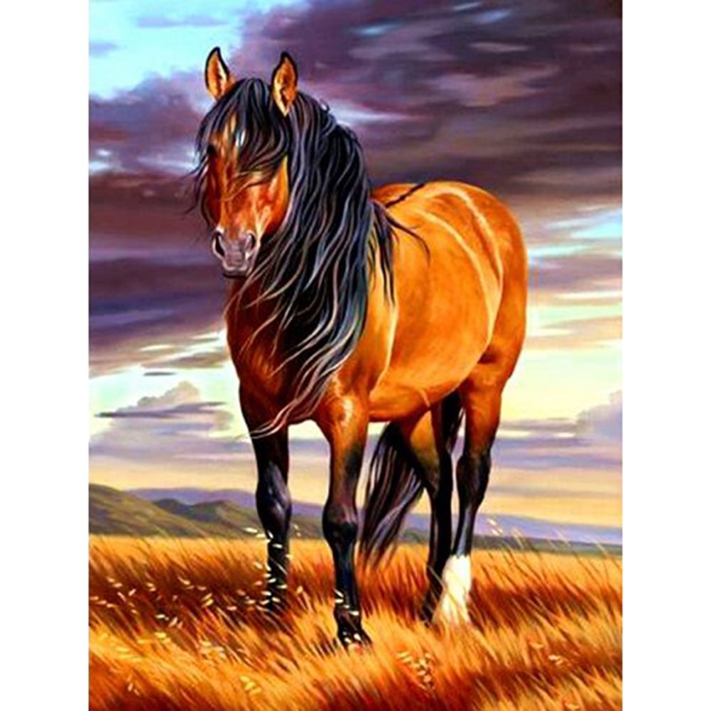 paint by numbers horse 4050cm