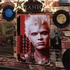 Billy Idol - Vintage Metal Signs - 20*30cm/30*40cm - Music