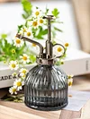Nordic retro air pressure gardening household watering glass small watering can for watering flowers and disinfecting watering can