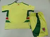 2024 Kids Size Wales Away Football Shirt 1:1 Thai Quality