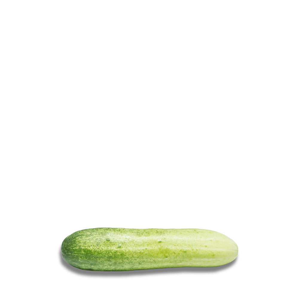 Heirloom Cucumber Seeds - Cornichon de Paris