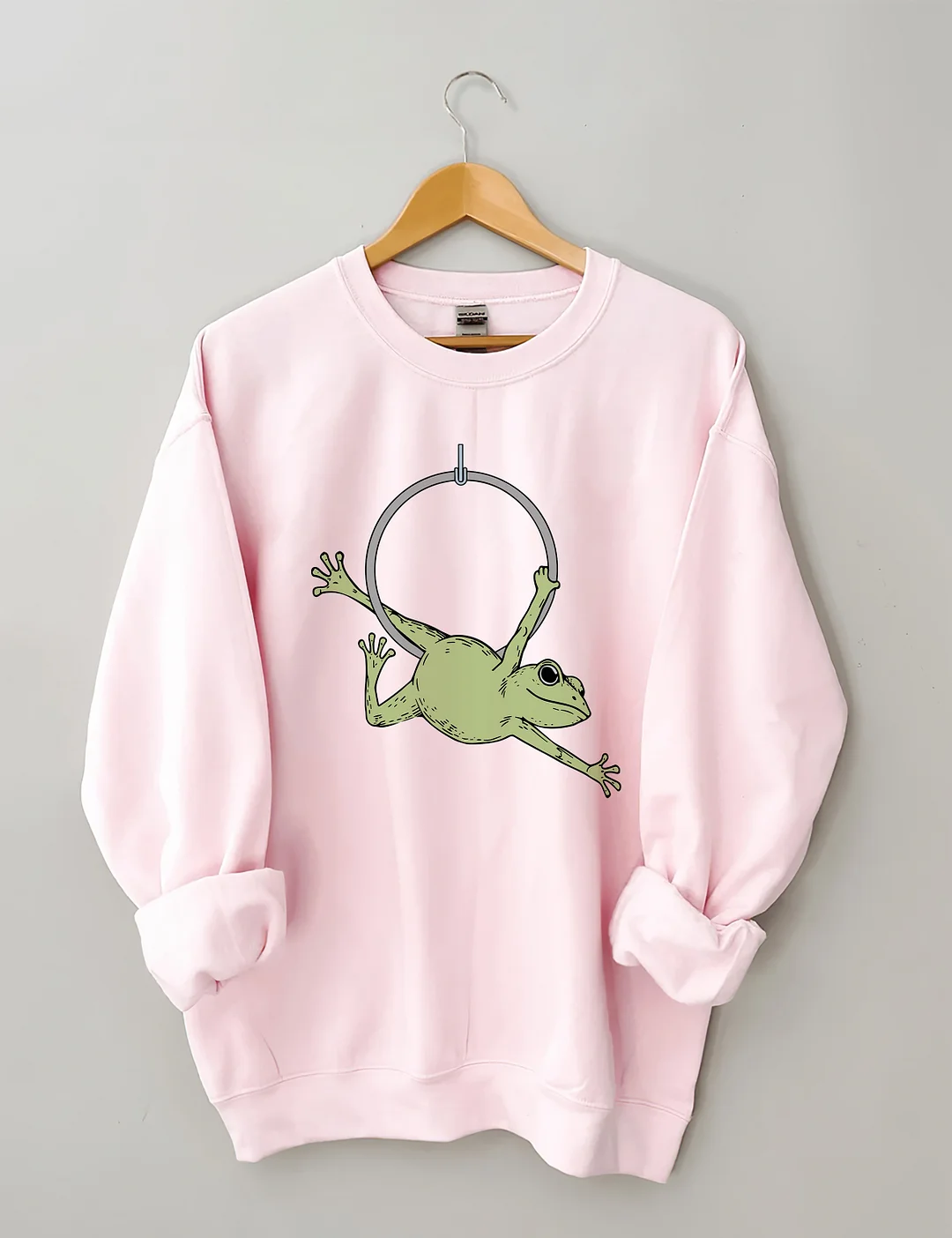 Funny Aerial Hoop Frog Sweatshirt