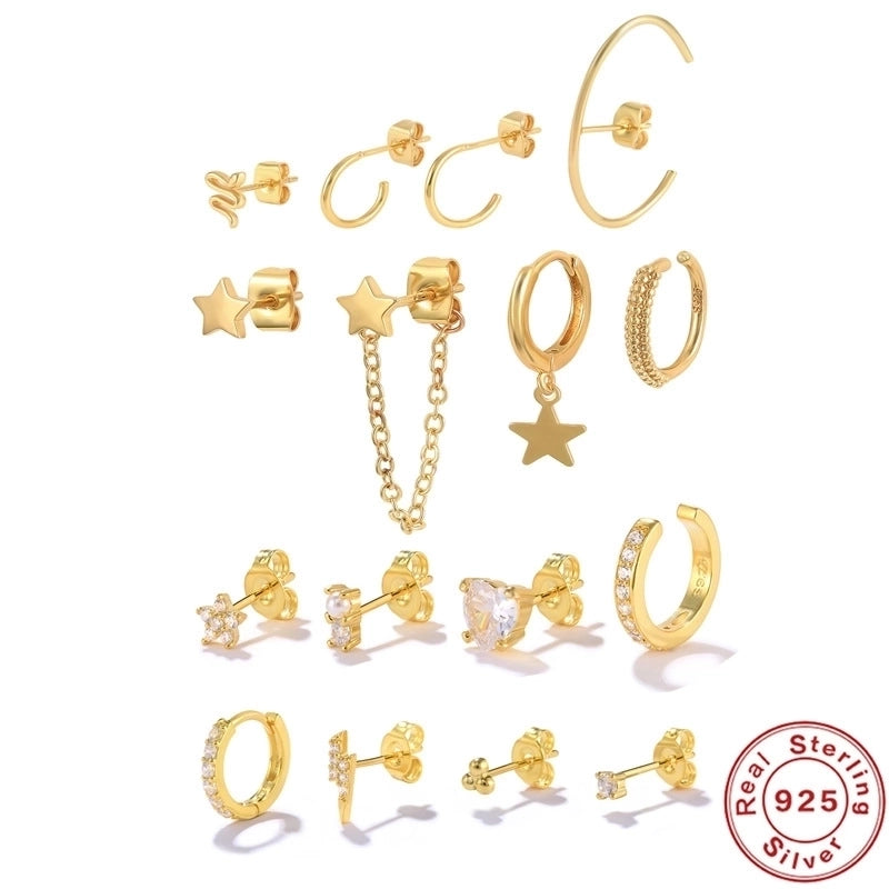 1 Set 925 Sterling Silver Zircon Geometric Earrings