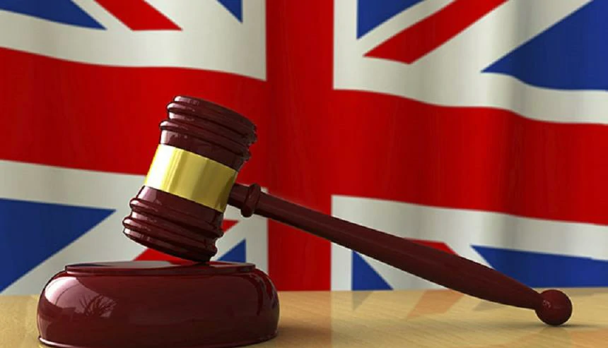 The new dog tag law in the UK and its implications for custom dog tags