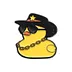 Cool Little Pirate