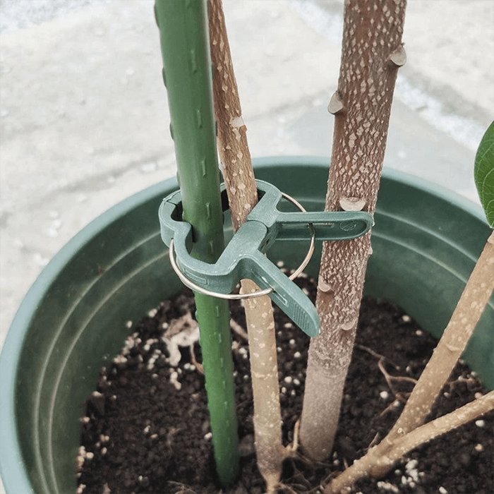 Reusable Garden Plant Support Clips