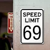 Speed Limit 69 - Vintage Metal Signs - 20*30cm/30*40cm - Warning