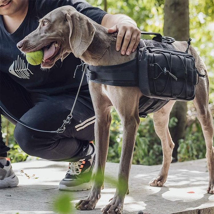Dog Harness With Reflective Saddle Packs